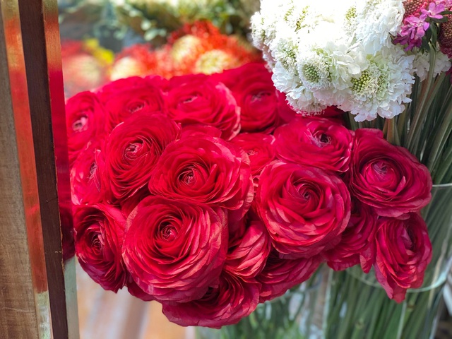 Lan công chúa, hồng sa mạc, nhiều hàng lạ đổ bộ TPHCM chờ Tết-5