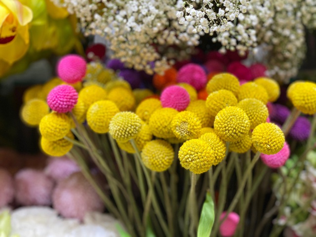 Lan công chúa, hồng sa mạc, nhiều hàng lạ đổ bộ TPHCM chờ Tết-7