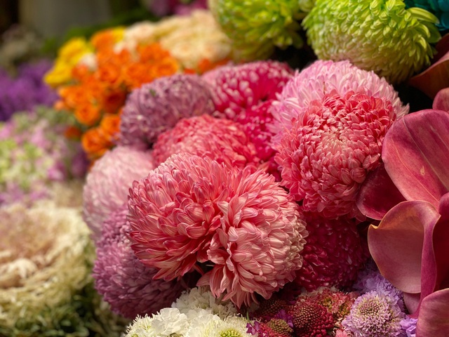 Lan công chúa, hồng sa mạc, nhiều hàng lạ đổ bộ TPHCM chờ Tết-9