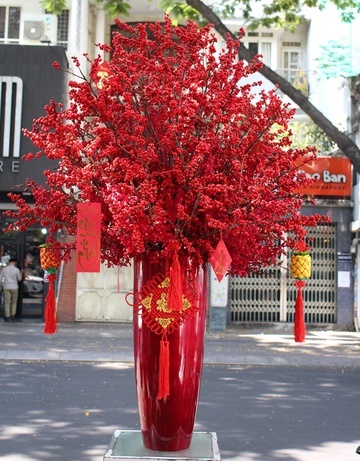 Một triệu đồng mỗi cành lan công chúa bay từ Nhật về-2