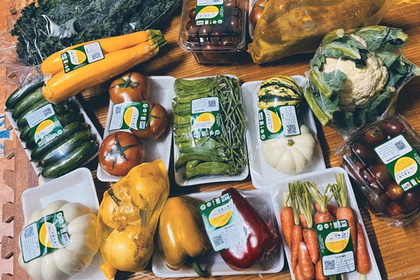 Kỳ lạ, loại tôm hùm gần chục triệu/con có gì bổ béo mà có nhiêu bán hết sạch?-9