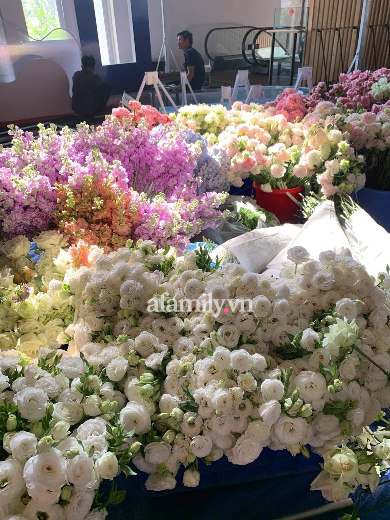 Tiết lộ Phan Thành đã bỏ BẠC TỶ như thế nào để tối nay có vài chục giây bước trên sân khấu cùng Primmy Trương!?-12