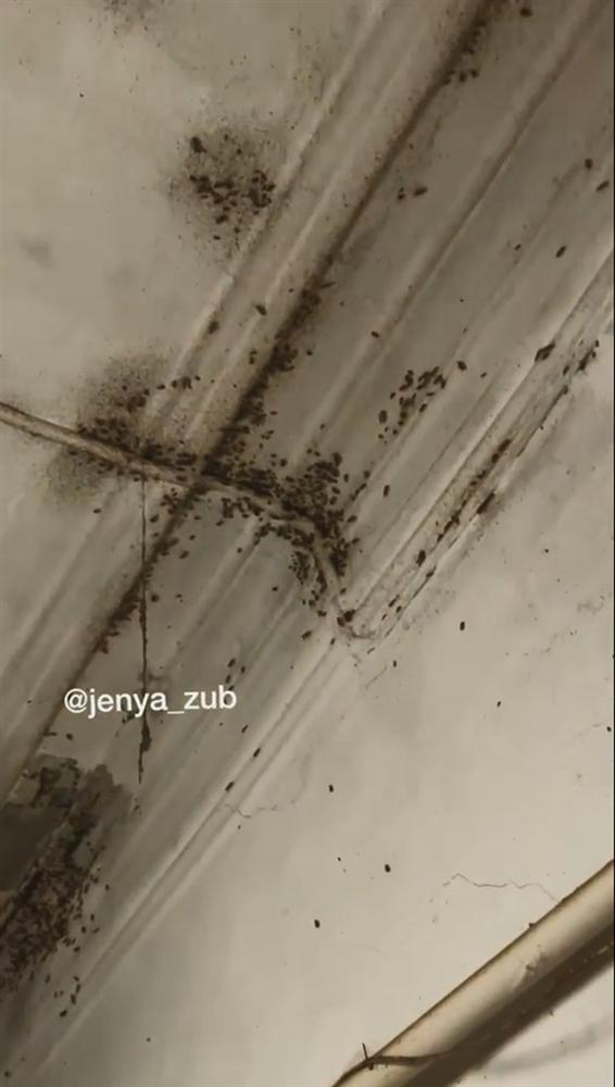 Nghe tin cấp báo của người dân, cảnh sát phát hiện cảnh ám ảnh chưa từng thấy: 2 đứa trẻ sống chung với rác, ăn thịt chó hoang cho qua ngày đoạn tháng-4