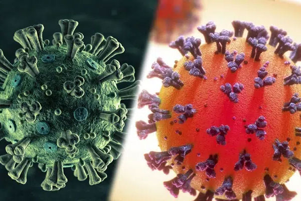 Biến chủng mới SARS-COV-2 ở Anh được chứng minh tăng nguy cơ với người trẻ: Virus như một tên trộm thành thạo đột nhập và làm tổn thương cơ thể người-1