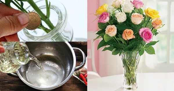 Bí quyết giữ hoa tươi lâu trong dịp Tết cả tuần không lo héo-1
