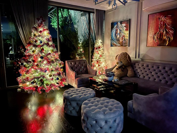 Cận cảnh biệt thự triệu đô của Cao Thái Sơn: Góc nào cũng toát lên mùi chanh sả, ban công có view cực ăn tiền-8