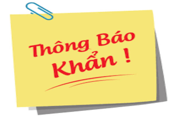 Lịch trình di chuyển của 2 trường hợp mắc Covid-19 tại Gia Lai-2
