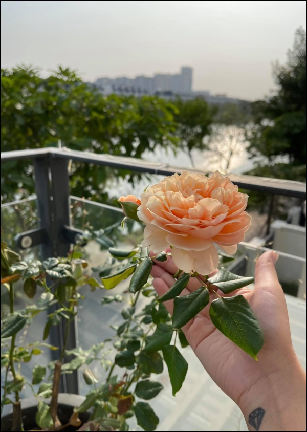 Vân Hugo trang hoàng nhà cửa đón Tết sớm trong biệt thự cao cấp ở Sài Gòn, nhìn ban công thơ mộng ai cũng mê-13