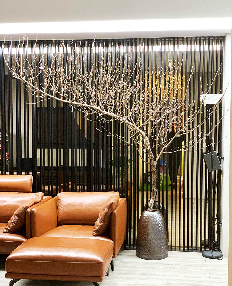 Ngàn cành đào 1 dáng giống nhau, giá 5 triệu không đủ hàng bán-3