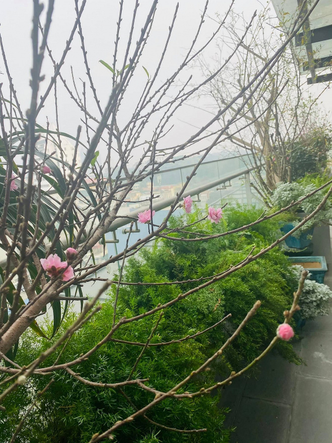 Căn hộ của Tùng Dương: Không quái như nhiều người vẫn tưởng, đáng giá nhất là bộ sưu tập sách và CD đồ sộ-21