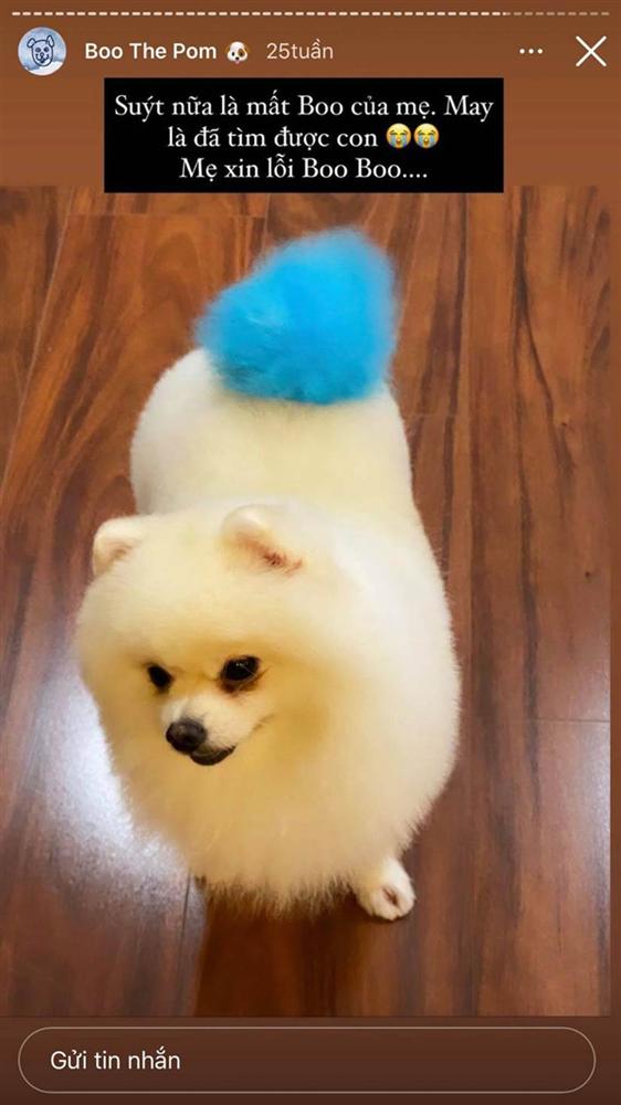 Bạn thân tiết lộ vợ thiếu gia Phan Thành bước vào hào môn nhờ chính chú cún cưng-3