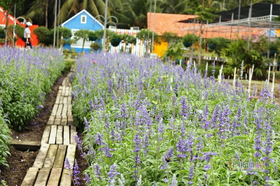 Màn lật lọng vào phút chót của nhà trai khiến tôi điêu đứng-1