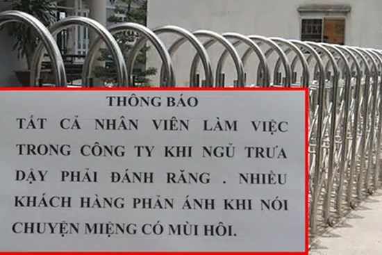 Đứng hình với công ty ra quyết định vô cùng