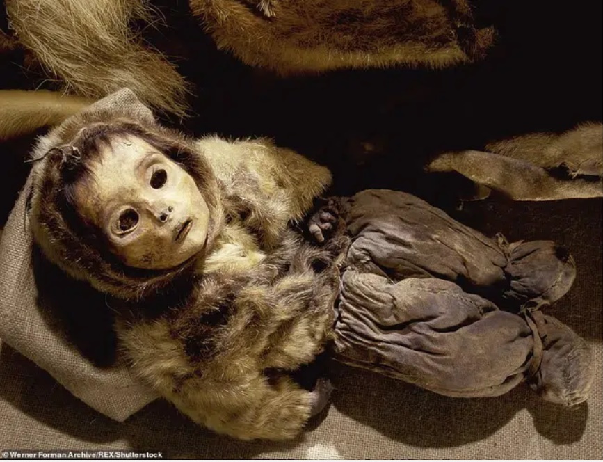 Phát hiện vật thể lạ trong khu định cư bỏ hoang, ai cũng ngỡ búp bê rồi giật mình khi biết sự thật, ám ảnh đôi mắt mở trừng trừng đầy bí ẩn-2