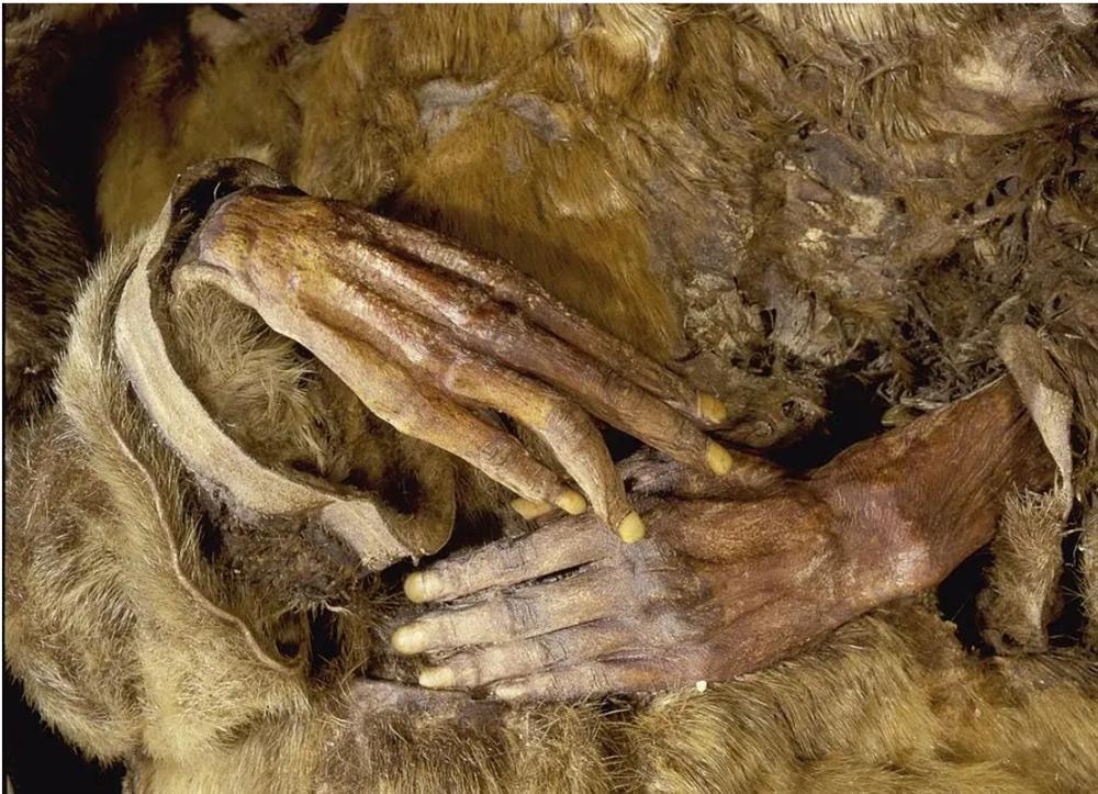 Phát hiện vật thể lạ trong khu định cư bỏ hoang, ai cũng ngỡ búp bê rồi giật mình khi biết sự thật, ám ảnh đôi mắt mở trừng trừng đầy bí ẩn-4