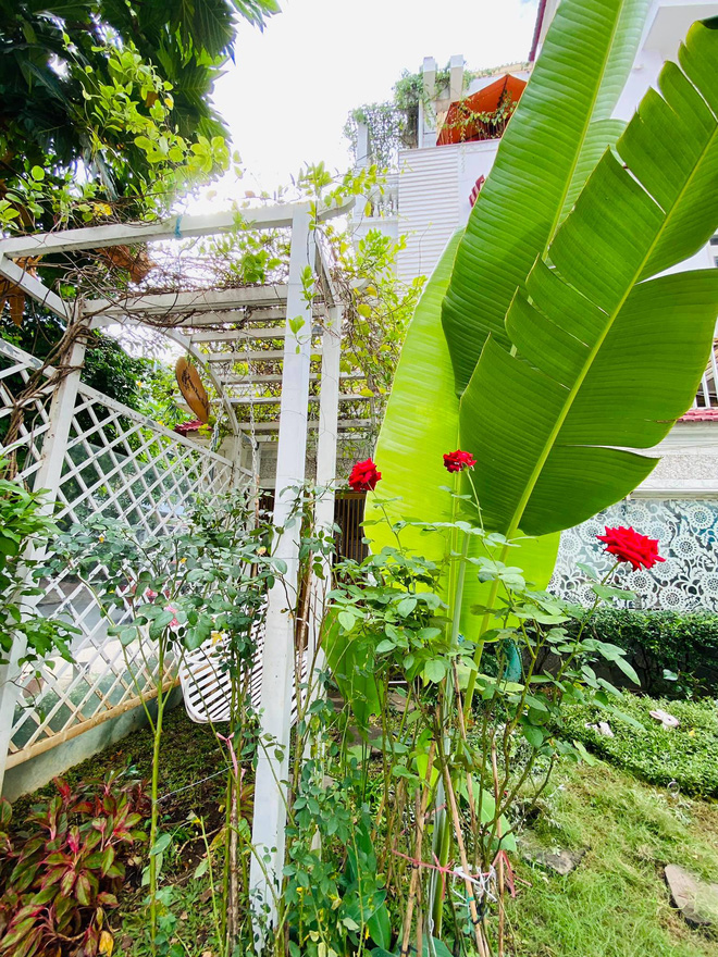 Lấy chồng đại gia, Vy Oanh ở biệt thự rộng 1400m2, mất hơn chục ngày để trang trí Tết lung linh, rực rỡ-19