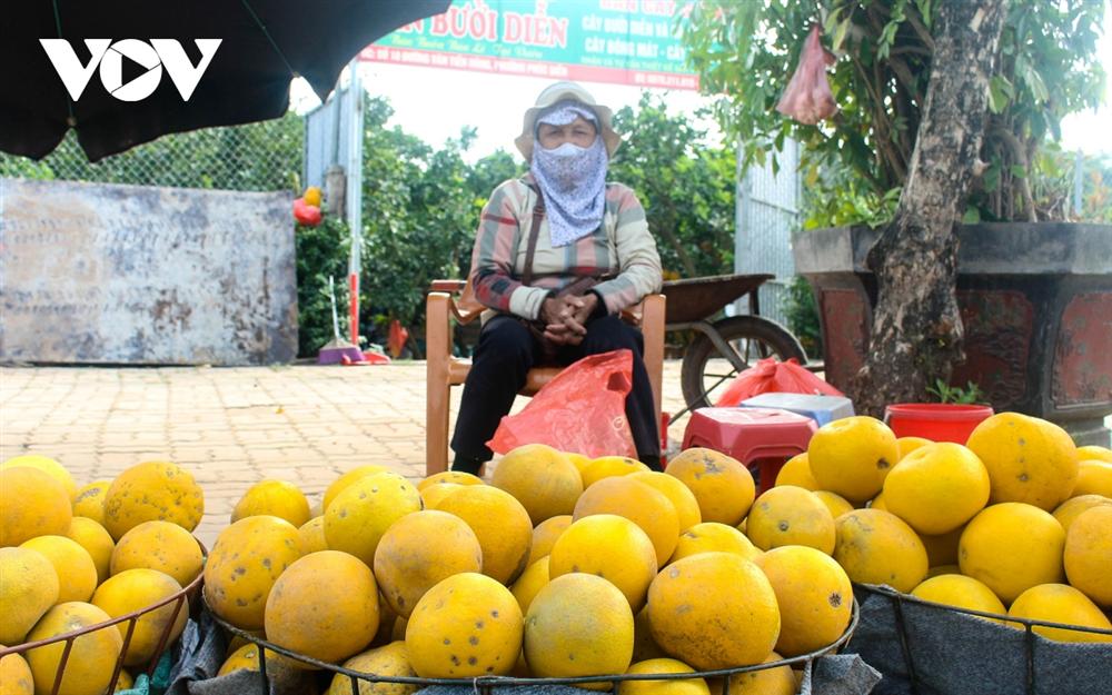 Đột nhập thủ phủ bưởi Diễn những ngày cận Tết-12