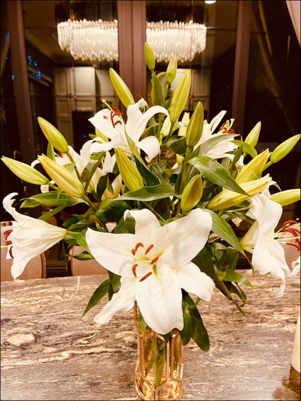 Cận cảnh khu vườn đẹp như mơ trong biệt thự ven sông của Lã Thanh Huyền, Tết dịch ngồi ở nhà ngắm hoa lá cũng vui-11