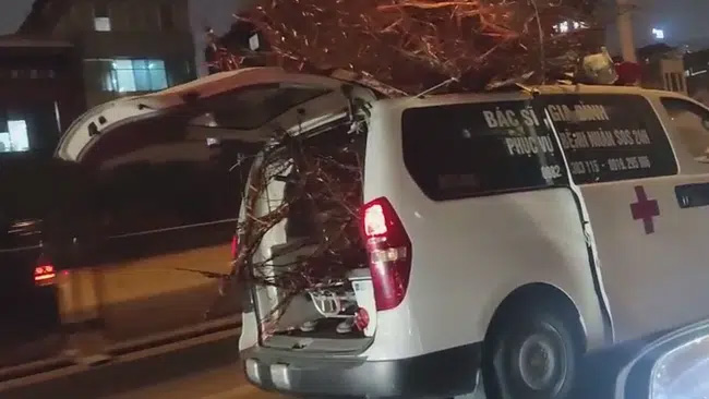 Xe cấp cứu bật đèn ưu tiên, hú còi inh ỏi đòi nhường đường dù chỉ chở cành đào khiến nhiều người bức xúc-1
