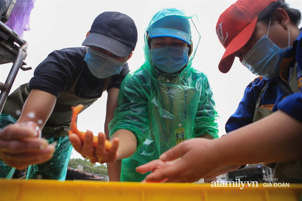 Chợ cá lớn nhất Hà Nội nhộn nhịp trước lễ ông Công ông Táo, dân buôn bở hơi tai vác cả tấn cá mỗi ngày nhưng không rời chiếc khẩu trang-13