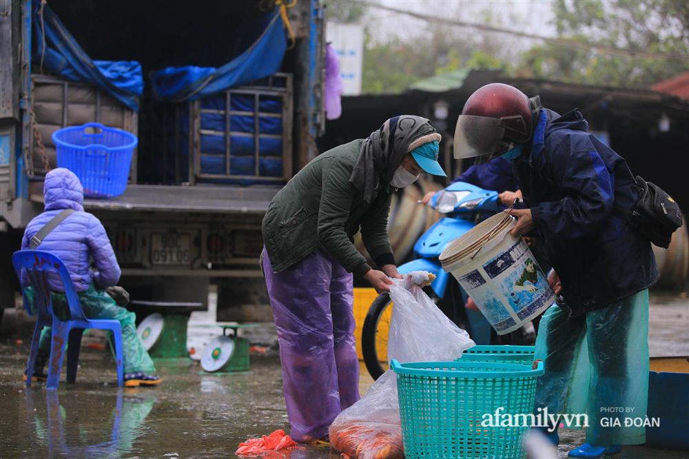 Chợ cá lớn nhất Hà Nội nhộn nhịp trước lễ ông Công ông Táo, dân buôn bở hơi tai vác cả tấn cá mỗi ngày nhưng không rời chiếc khẩu trang-17
