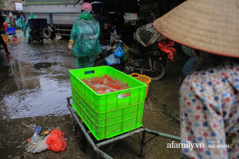 Chợ cá lớn nhất Hà Nội nhộn nhịp trước lễ ông Công ông Táo, dân buôn bở hơi tai vác cả tấn cá mỗi ngày nhưng không rời chiếc khẩu trang-18