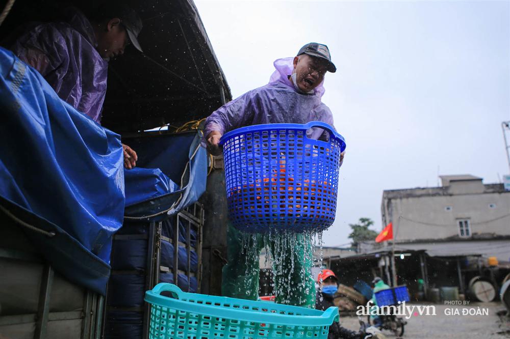 Chợ cá lớn nhất Hà Nội nhộn nhịp trước lễ ông Công ông Táo, dân buôn bở hơi tai vác cả tấn cá mỗi ngày nhưng không rời chiếc khẩu trang-3