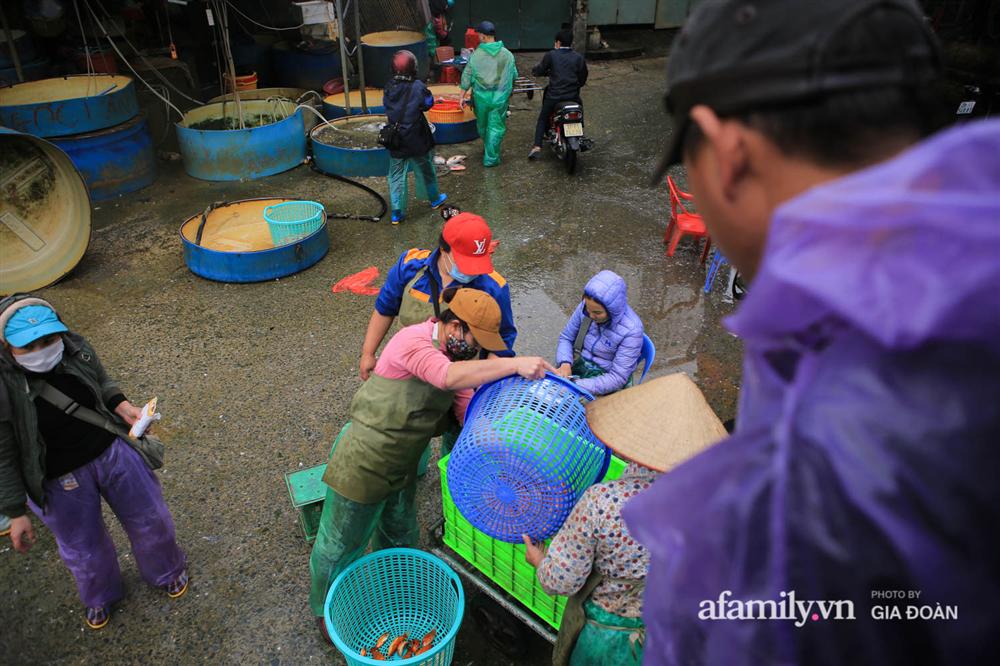 Chợ cá lớn nhất Hà Nội nhộn nhịp trước lễ ông Công ông Táo, dân buôn bở hơi tai vác cả tấn cá mỗi ngày nhưng không rời chiếc khẩu trang-4