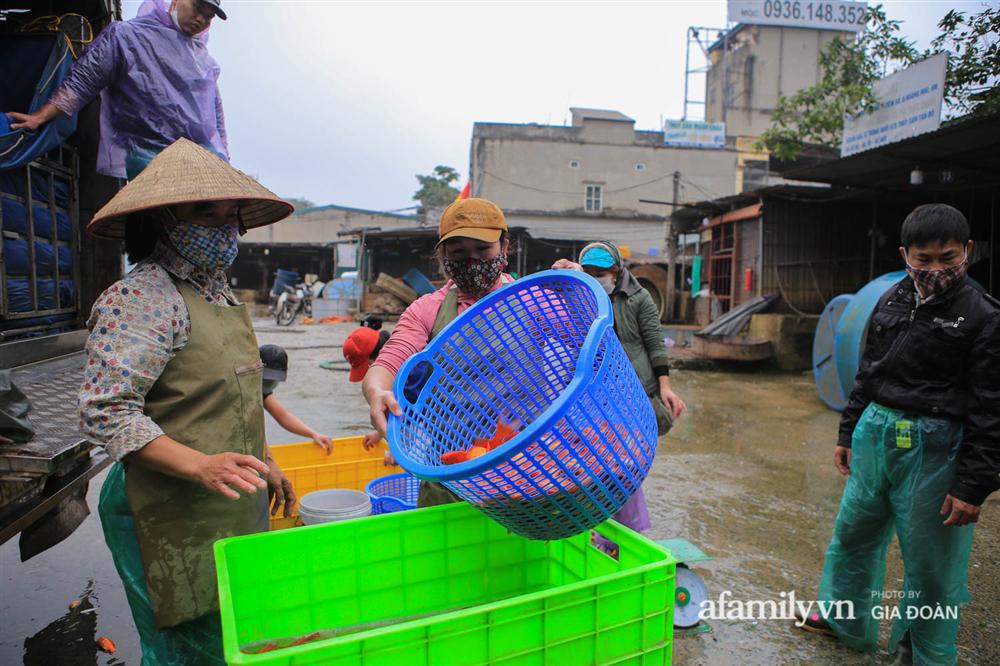 Chợ cá lớn nhất Hà Nội nhộn nhịp trước lễ ông Công ông Táo, dân buôn bở hơi tai vác cả tấn cá mỗi ngày nhưng không rời chiếc khẩu trang-5