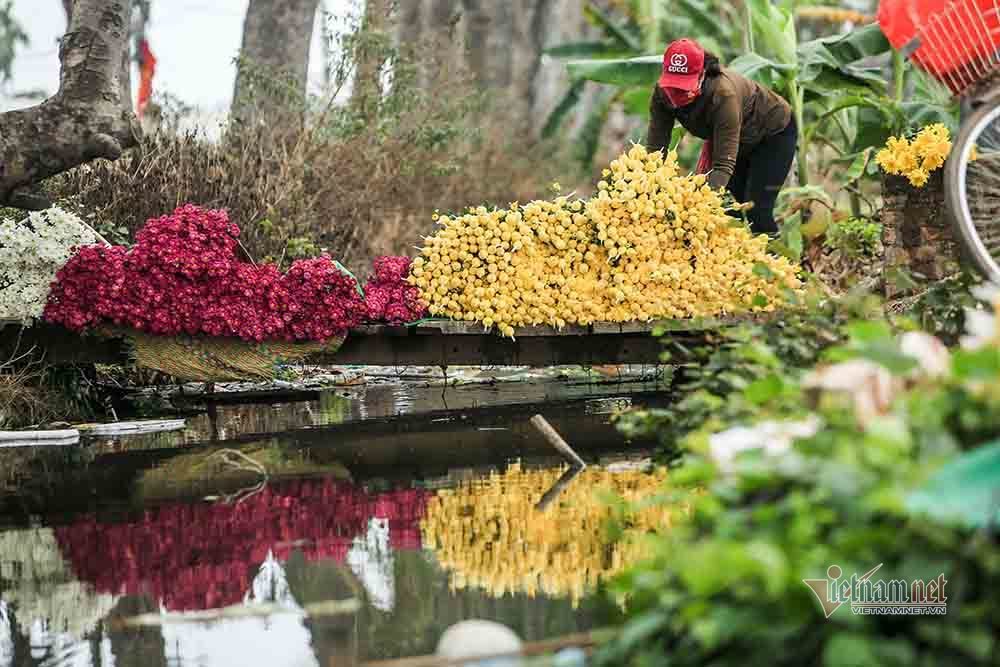 Tai họa ngày cận Tết, cả làng hoa Hà Nội ngồi trên đống lửa-2