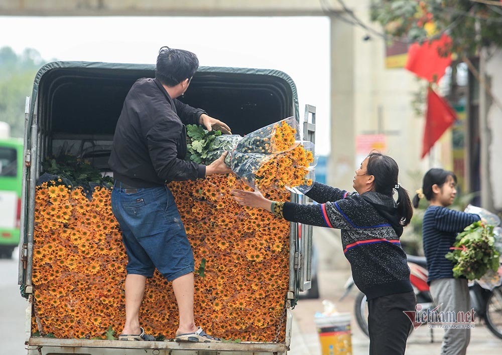 Tai họa ngày cận Tết, cả làng hoa Hà Nội ngồi trên đống lửa-9