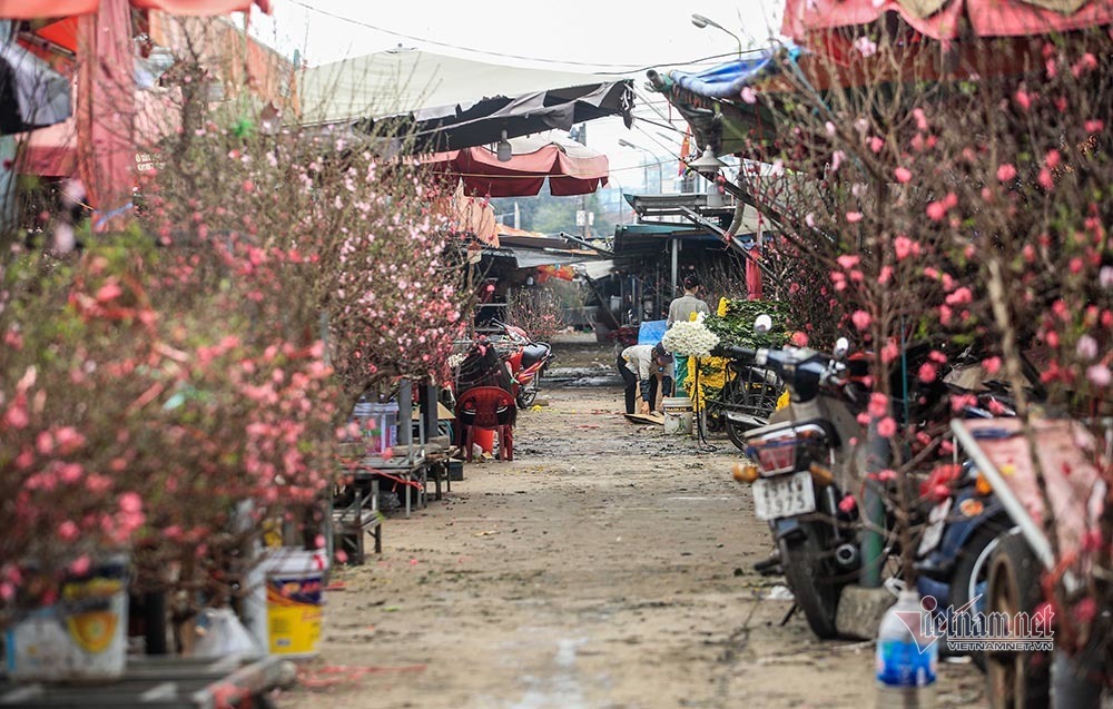 Tai họa ngày cận Tết, cả làng hoa Hà Nội ngồi trên đống lửa-12