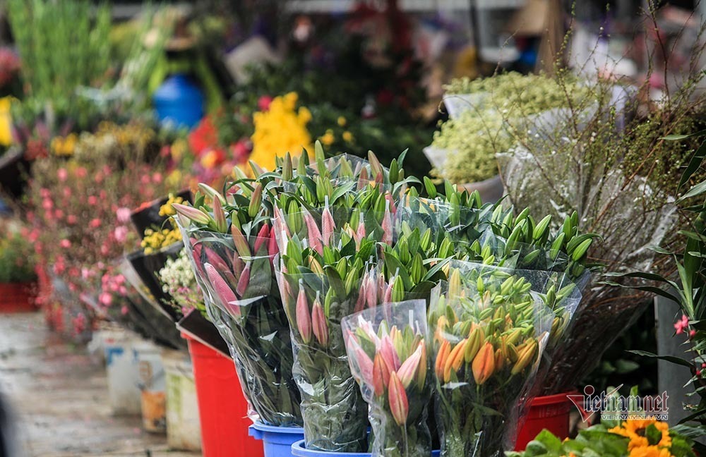 Tai họa ngày cận Tết, cả làng hoa Hà Nội ngồi trên đống lửa-14