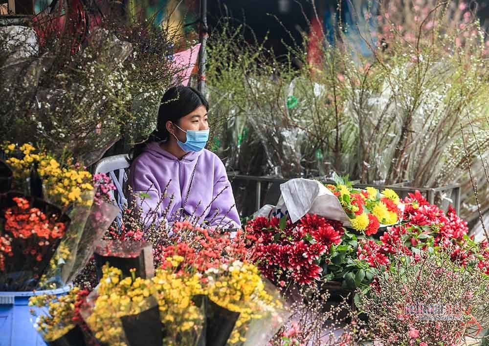 Tai họa ngày cận Tết, cả làng hoa Hà Nội ngồi trên đống lửa-15