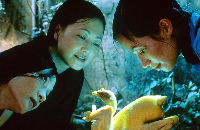 Gà luộc luôn là món không được phép thiếu trong mâm cỗ người Việt, kén được kê vương cực phẩm đầu năm, cả năm may mắn sung túc-1