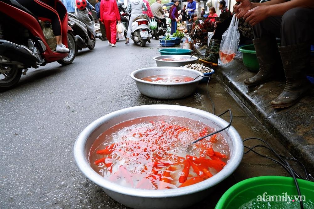 Thị trường đồ lễ ông Công ông Táo sôi động, đồ cúng hàng mã giữ nguyên giá nhưng thực phẩm, hoa quả tăng giá 30%-5