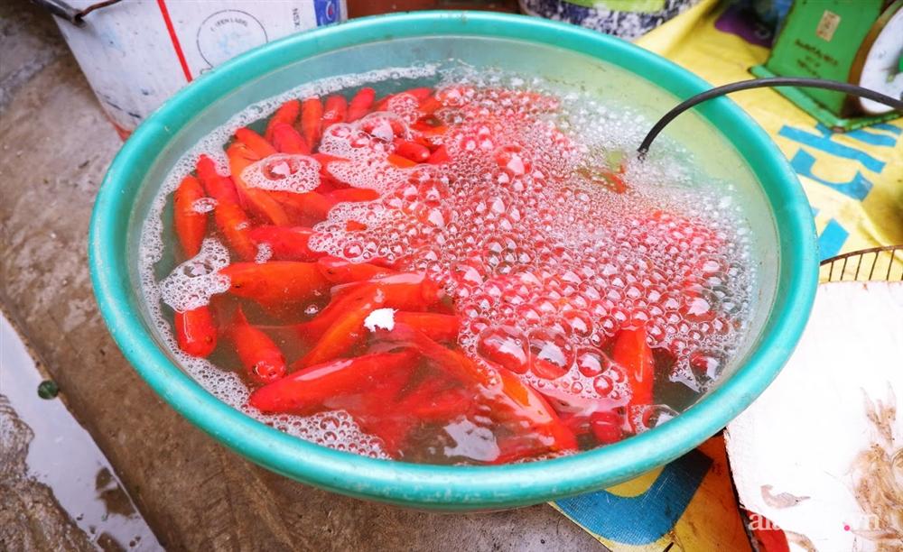 Thị trường đồ lễ ông Công ông Táo sôi động, đồ cúng hàng mã giữ nguyên giá nhưng thực phẩm, hoa quả tăng giá 30%-6