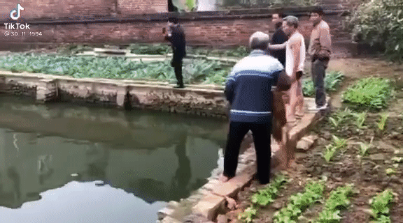 Đoạn clip bắt cá hút 2,3 triệu view: Ông chú vừa tung lưới thì cũng phi thân xuống ao, màn va đập cực mạnh vừa buồn cười vừa thương-1