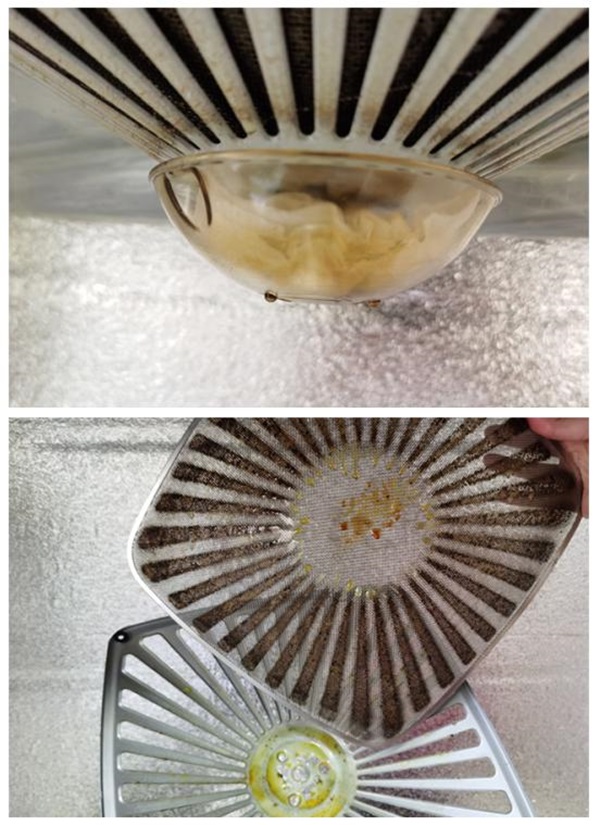 10 vết dầu mỡ trong nhà bếp là một vấn đề lớn, hãy sử dụng mẹo dọn dẹp sau đây để tiết kiệm công sức mà vẫn đảm bảo sạch sẽ-1