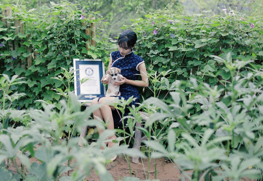 Lý Tử Thất đạt kỷ lục Guinness-1