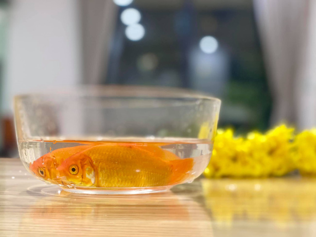 Thấy mẹ cúng cá ngày Táo Quân, con trai liền nói một câu khiến Đan Lê cảm thán: Tôi tưởng nhà này chỉ có mình tôi lắm điều, hóa ra tôi nhầm-2