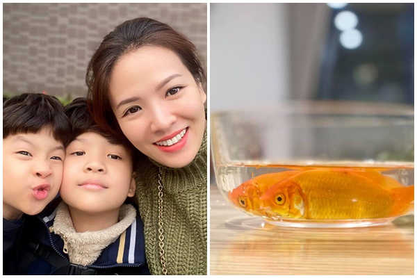 Khám phá không gian nhà mới của đạo diễn Khải Hưng - bố chồng MC Đan Lê-9