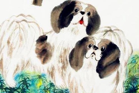 Từ mùng 1 Tết âm lịch, top 3 con giáp có phú quý an nhàn, tình tiền đều đỏ, quý nhân nâng đỡ, lộc nhiều vô kể