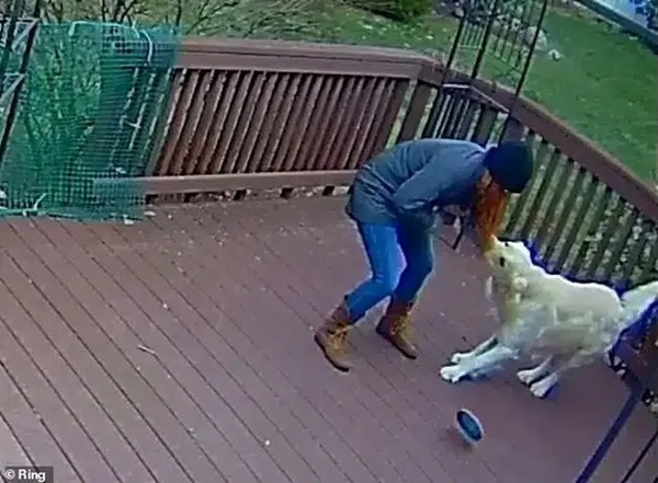 Chú chó giằng co áo kéo lê làm ngạt thở cô gái, ngỡ tai nạn đẫm máu kinh hoàng nhưng sự thật không như mọi người nghĩ-2