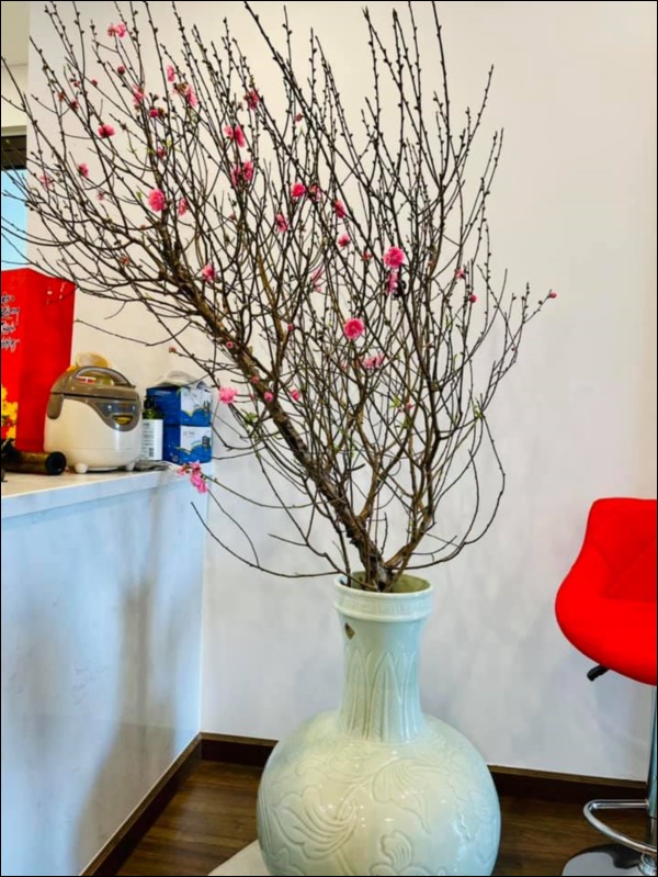 Sao Việt trang trí nhà cửa đón Tết: Lã Thanh Huyền 3 đời chơi lan Hồ Điệp, Thúy Hạnh thiết kế sân&nbsp;vườn đèn hoa lộng lẫy như nhà hàng Nhật-13