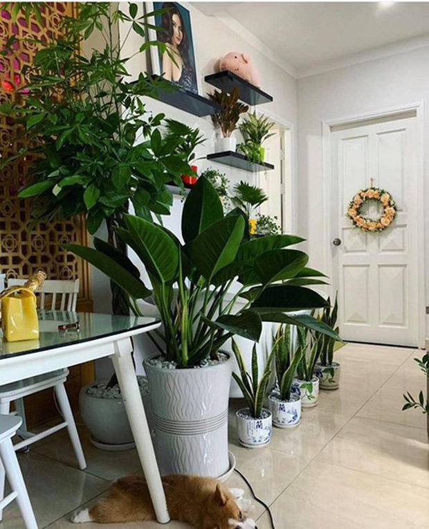 Nam Em sống trong căn hộ 60m2 ở TP. HCM, thiết kế đơn giản nhưng câu slogan ở phòng khách lại gây tranh cãi-7