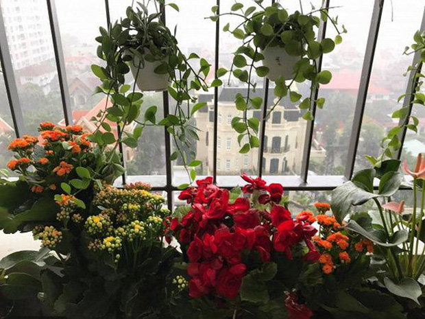 Nam Em sống trong căn hộ 60m2 ở TP. HCM, thiết kế đơn giản nhưng câu slogan ở phòng khách lại gây tranh cãi-8