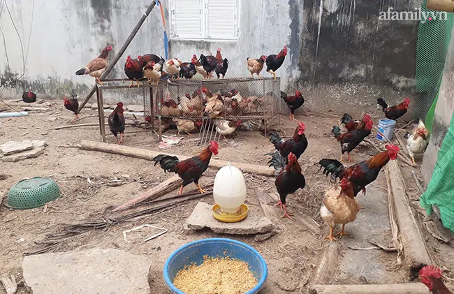 Cách chi tiêu Tết chỉ 3 triệu đồng của bà mẹ đơn thân ở Hà Nội: Đơn giản nhưng vẫn đầy đủ-4