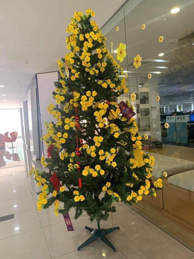 Mai vàng chơi Tết phiên bản con nhà nghèo khiến dân mạng cười nghiêng ngả: Thời buổi kinh tế khó khăn, nhưng nhân viên nảy số lại cực nhanh-1