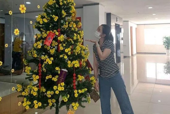 Mai vàng chơi Tết phiên bản 